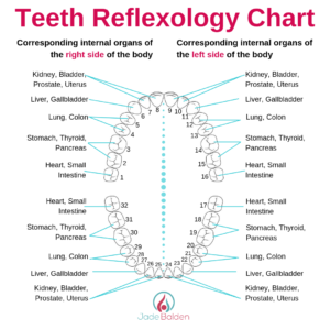 Teeth-Reflexology-